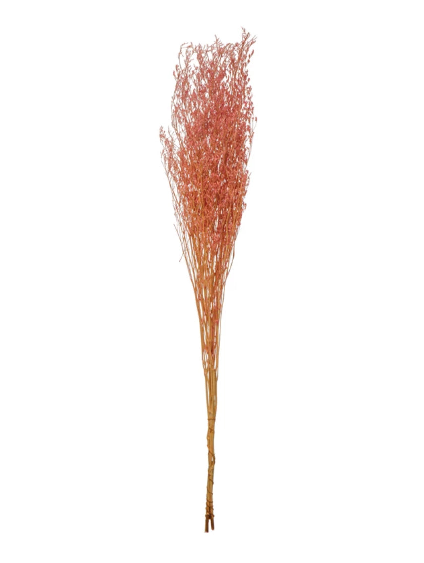 Dried Love Grass